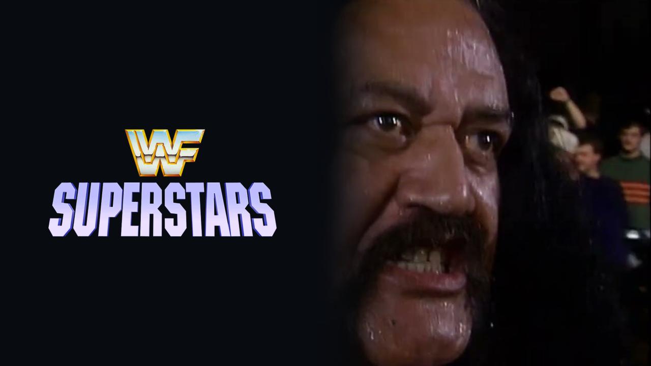WWE Superstars