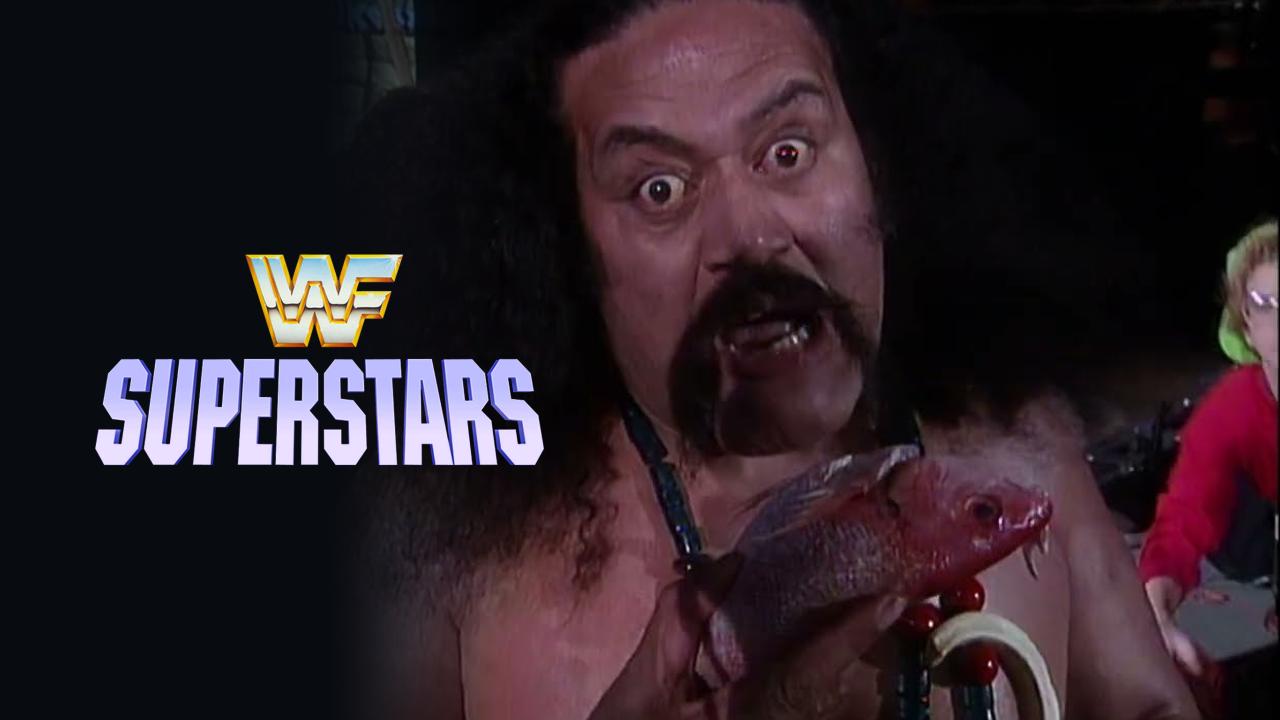 WWE Superstars