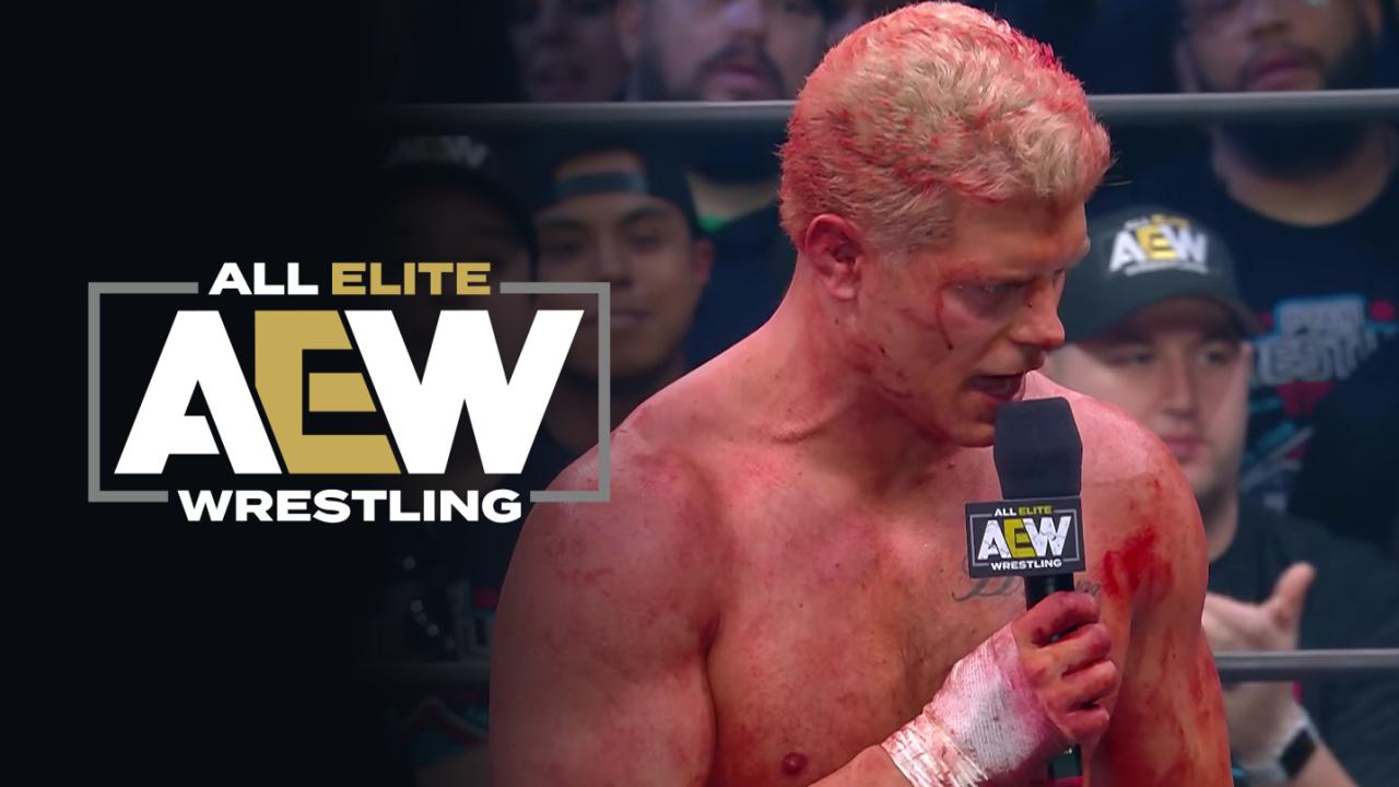 Dustin Rhodes vs. Cody (AEW Double or Nothing 2019)